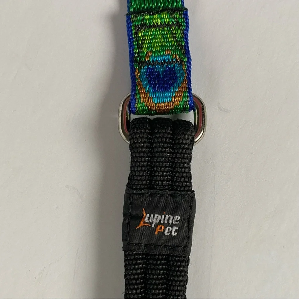 Lupine Lead Leash 2 Feet Short 1” Wide Peacock Green Blue 24” EUC birds pet dog